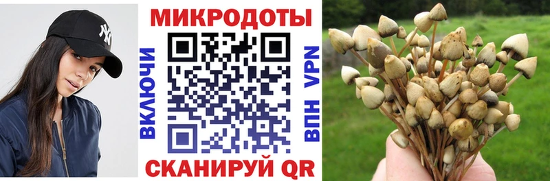 Галлюциногенные грибы MAGIC MUSHROOMS  дарк нет состав  Магадан 