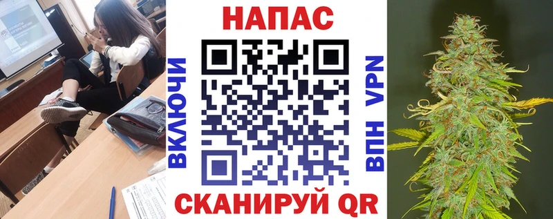 Бошки марихуана ГИДРОПОН  Магадан 